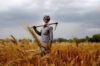 Punjab Government Launches Land Scheme for Needy Farmers