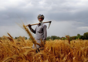 Punjab Government Launches Land Scheme for Needy Farmers