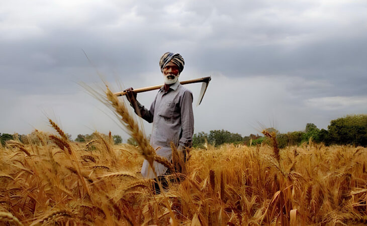 Punjab Government Launches Land Scheme for Needy Farmers