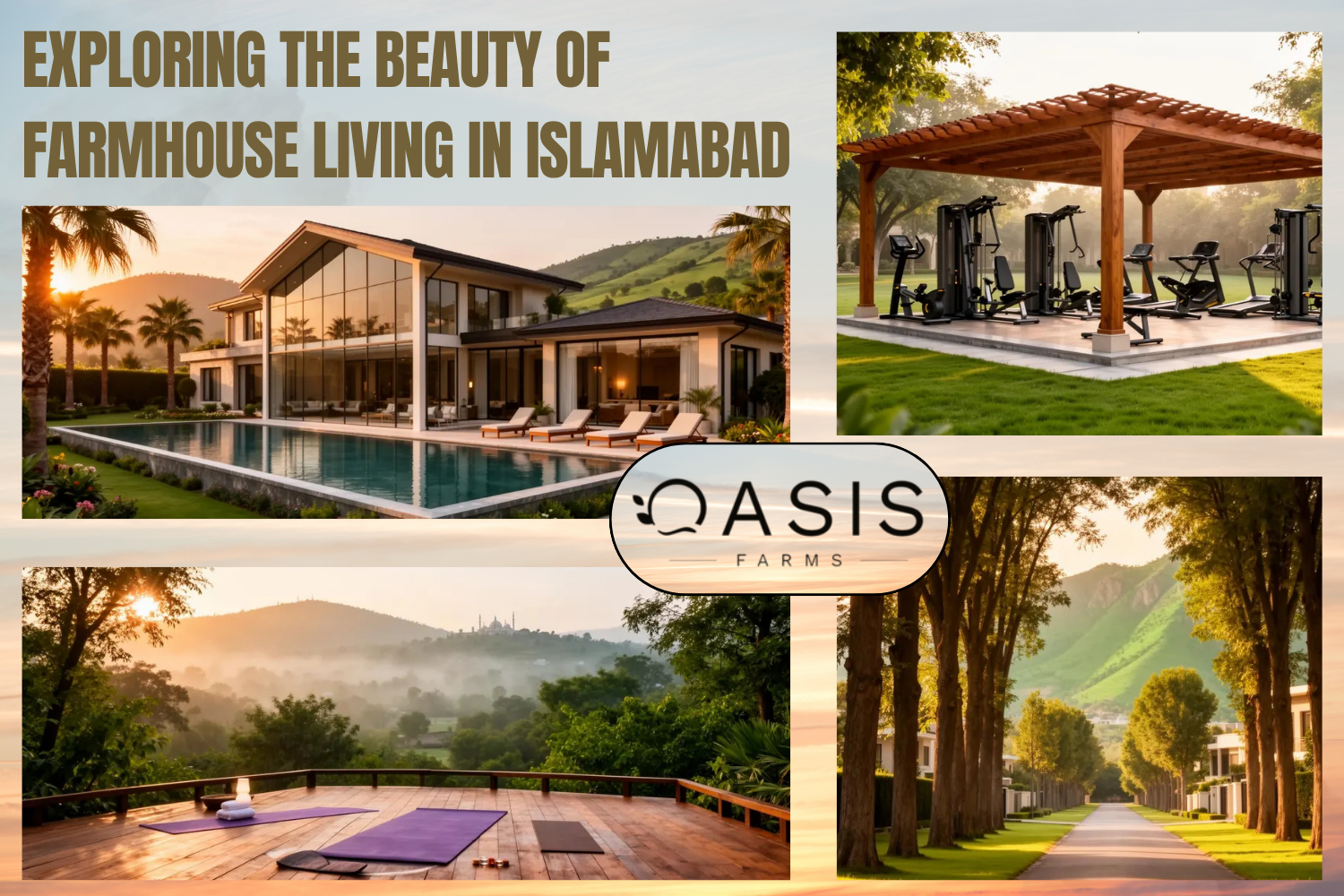oasis farms houses amenities